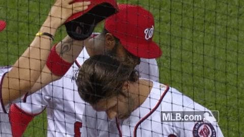 bryce.gif